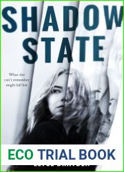 Shadow State