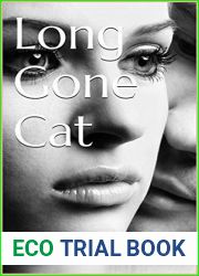 Long Gone Cat: A Friends to Lovers Second Chance Romance