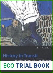 History in Transit: Experience, Identity, Critical Theory