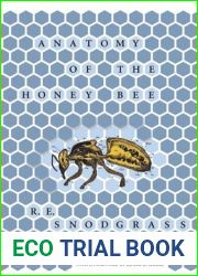 Anatomy of the Honey Bee
