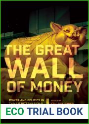The Great Wall of Money: Power and Politics in China|s International Monetary Relations