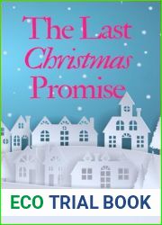 The Last Christmas Promise: The perfect French Christmas escapism with emotional twists