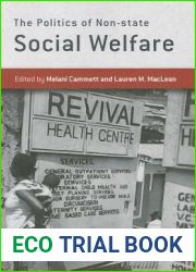 The Politics of Non-state Social Welfare