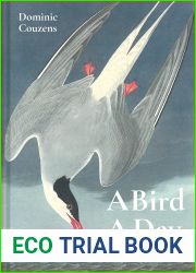 Bird A Day