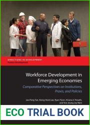 Workforce Development in Emerging Economies: Comparative Perspectives on Institutions, Praxis, and Policies for Economic Development (Directions in … in Development: Human Development)