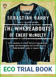 The Whereabouts of Eneas McNulty (McNulty Family)