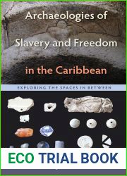 Archaeologies of Slavery and Freedom in the Caribbean: Exploring the Spaces in Between (Florida Museum of Natural History: Ripley P. Bullen Series)