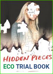 Hidden Pieces