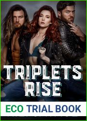 Triplets Rise (Ruthless Kings MC: La Grange, #1)