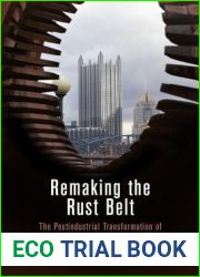Remaking the Rust Belt: The Postindustrial Transformation of North America (American Business, Politics, and Society)