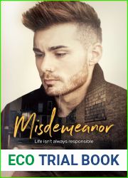 Misdemeanor (Responsible Adult, #1)