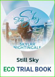 Still Sky: (Kindle Vella)