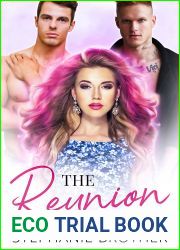 The Reunion (Fashionable Friends #1)