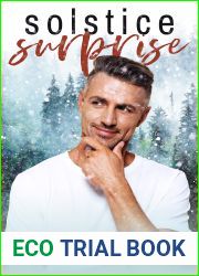 Solstice Surprise (One Scoop or Two #2)