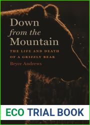 Down From The Mountain: The Life and Death of a Grizzly Bear