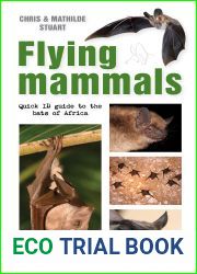 Flying Mammals: Quick ID guide to the bats of Africa (Quick ID guides)