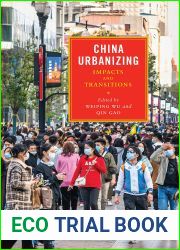 China Urbanizing: Impacts and Transitions (The City in the Twenty-First Century)