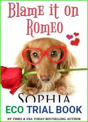 Blame it on Romeo (Beach Read #2)