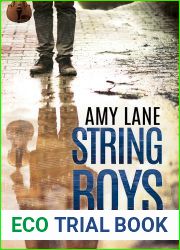 String Boys
