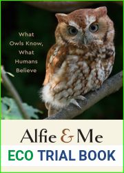 Alfie and Me: What Owls Know, What Humans Believe