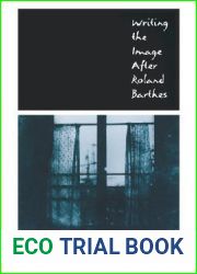 Writing the Image After Roland Barthes (New Cultural Studies)