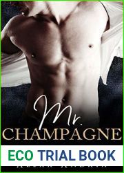 Mr. Champagne (A Mr. Billionaire Short Story)