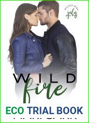 Wild Fire (Wilder Irish, #7)