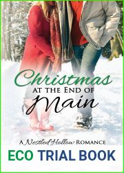 Christmas at the End of Main (Nestled Hollow, #2)