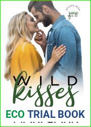 Wild Kisses (Wilder Irish, #6)