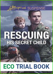 Rescuing His Secret Child (True North Heroes #3)