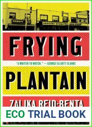 Frying Plantain