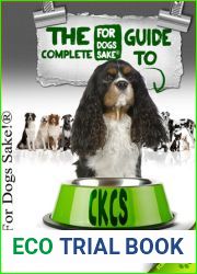The Complete Guide to Cavalier King Charles Spaniel