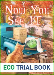 Now You See It (Witch City Mystery #13)