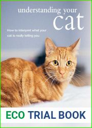 Understanding Your Cat: How to interpret what your cat is really telling you
