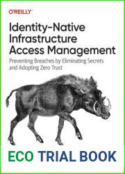Identity-Native Infrastructure Access Management: Preventing Breaches by Eliminating Secrets and Adopting Zero Trust