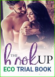 The Hookup (The Jordan Brothers, #1)