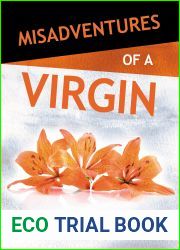 Misadventures of a Virgin (Misadventures, #4)