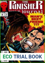 Punisher War Journal volume 1 # 60 : Dogged