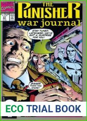 Punisher War Journal volume 1 # 37 : Controversy