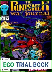Punisher War Journal volume 1 # 58 : Blood Red Moon