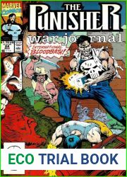 Punisher War Journal volume 1 # 24 : Firepower Among The Ruins: Part 2