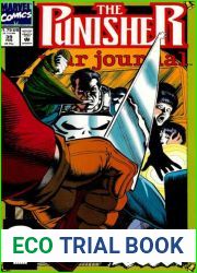 Punisher War Journal volume 1 # 39 : Slay Ride