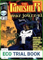 Punisher War Journal volume 1 # 23 : Firepower Among The Ruins: Part 1