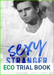 Sexy Stranger (Whiskey Kisses, #1)
