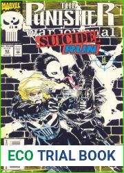 Punisher War Journal volume 1 # 62 : Suicide Run 4: Standing In The Shadows
