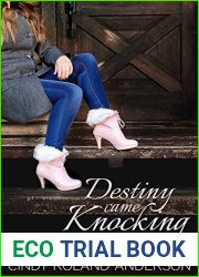Destiny Came Knocking (Snow Valley Romance)