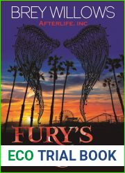 Fury|s Bridge (Afterlife Inc., #1)