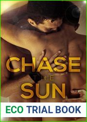 Chase the Sun (Free Fall, #2)