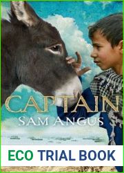 Captain