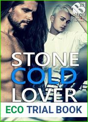 Stone Cold Lover (Assassins Inc., #2)